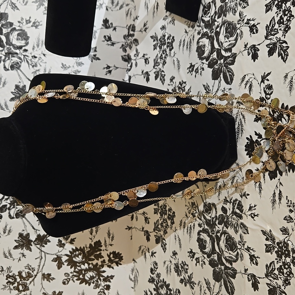Extremely long shell necklace. Jb6